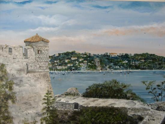 la rade vue  de villefranche sur mer  la ciatdelle 200€ avec cadre