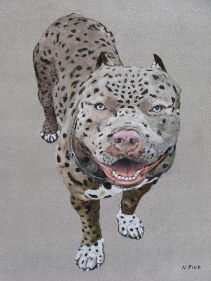 chien      ( 46x55)  prix: 200€  sans cadre