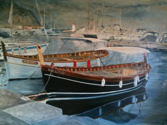 l' anneau 205 port de st jean cap ferrat