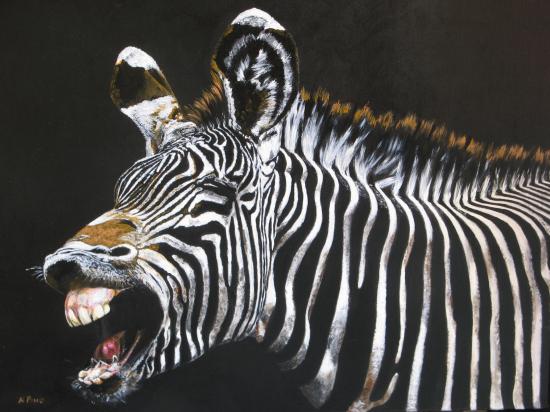 Zebre rieur 2018  non disponible